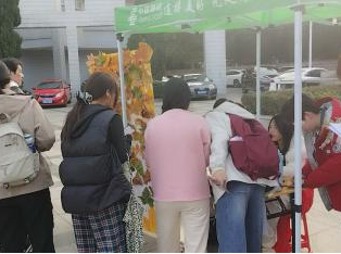 金沙国际娱乐城