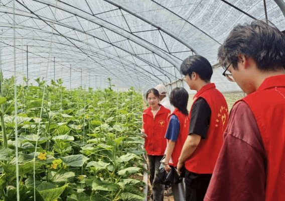 金沙国际娱乐城