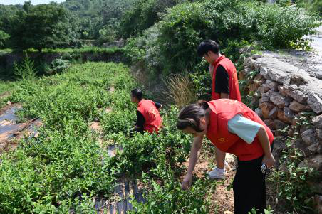 金沙国际娱乐城