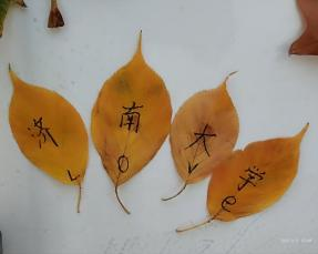 金沙国际娱乐城