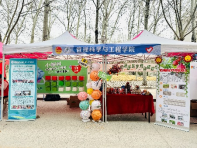 金沙国际娱乐城