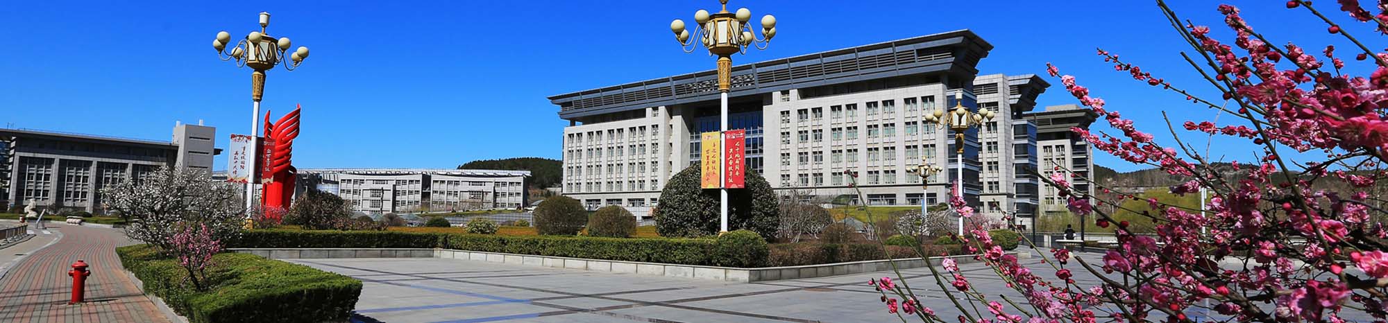 金沙国际娱乐城